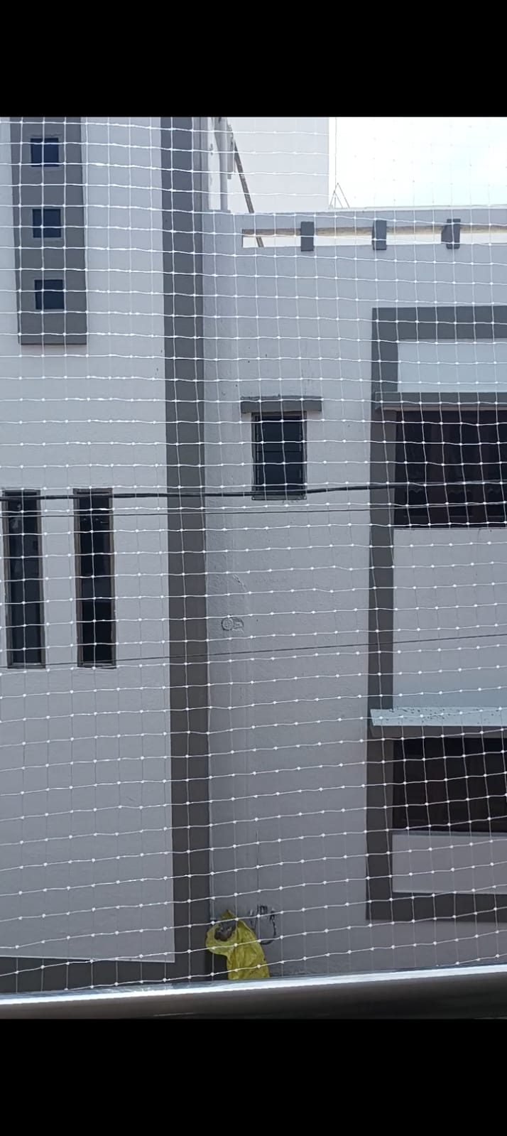 Installed netting view